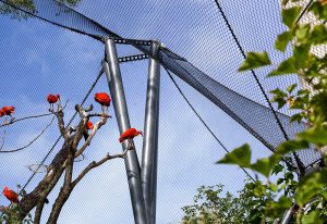 IBIS AVIARY – ZOO ZÜRICH