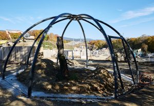 LA GARENNE – BARTGIER UND ALPENSTEINBOCK